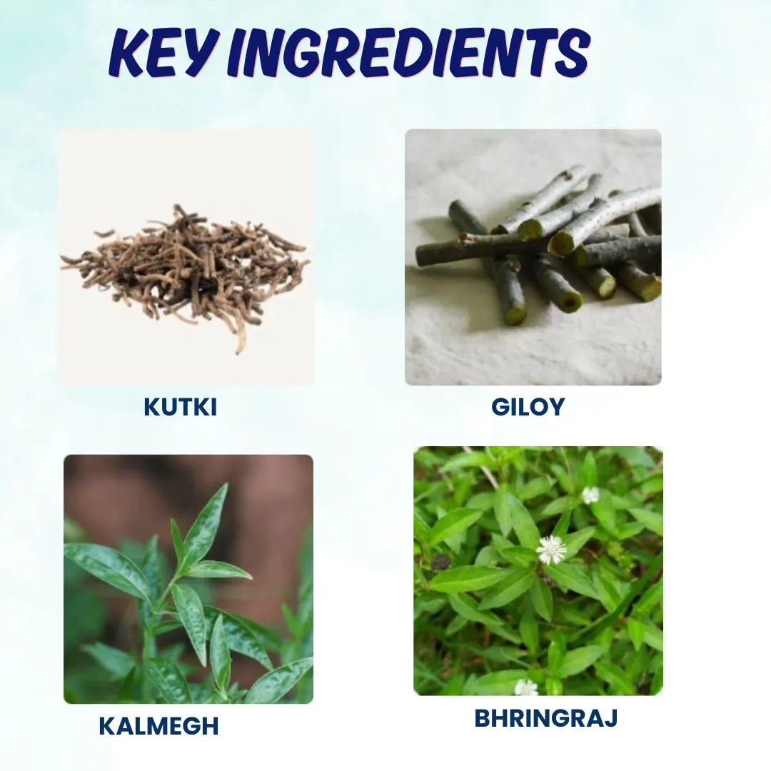 Liver Care Kit Ingredients
